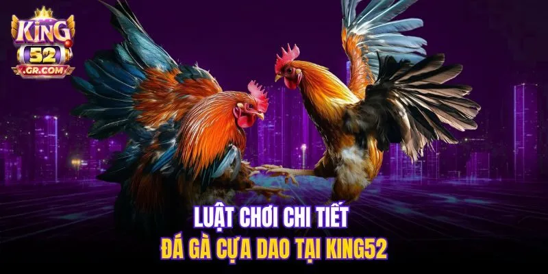 Luật chơi chi tiết đá gà cựa dao tại King52