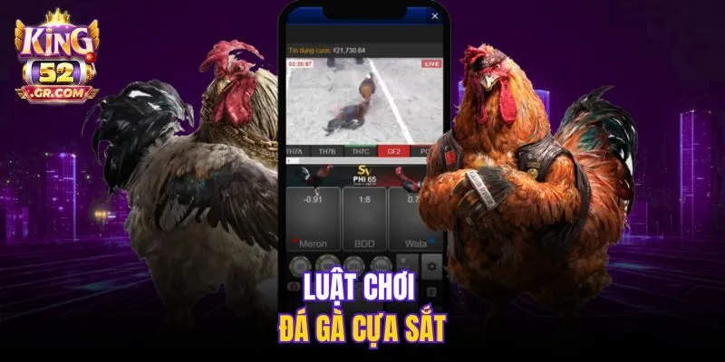 Luật chơi đá gà cựa sắt