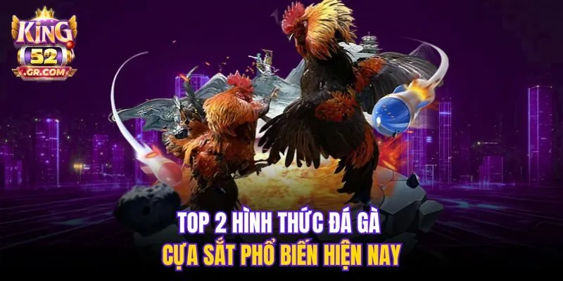 Top 2 hình thức đá gà cựa sắt phổ biến hiện nay
